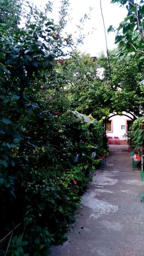 Casa Din Gradina Villa Eforie Sud  Exterior photo